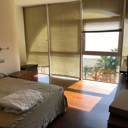 Apartment Atico-duplex Primera Linea De Playa En El Centro De